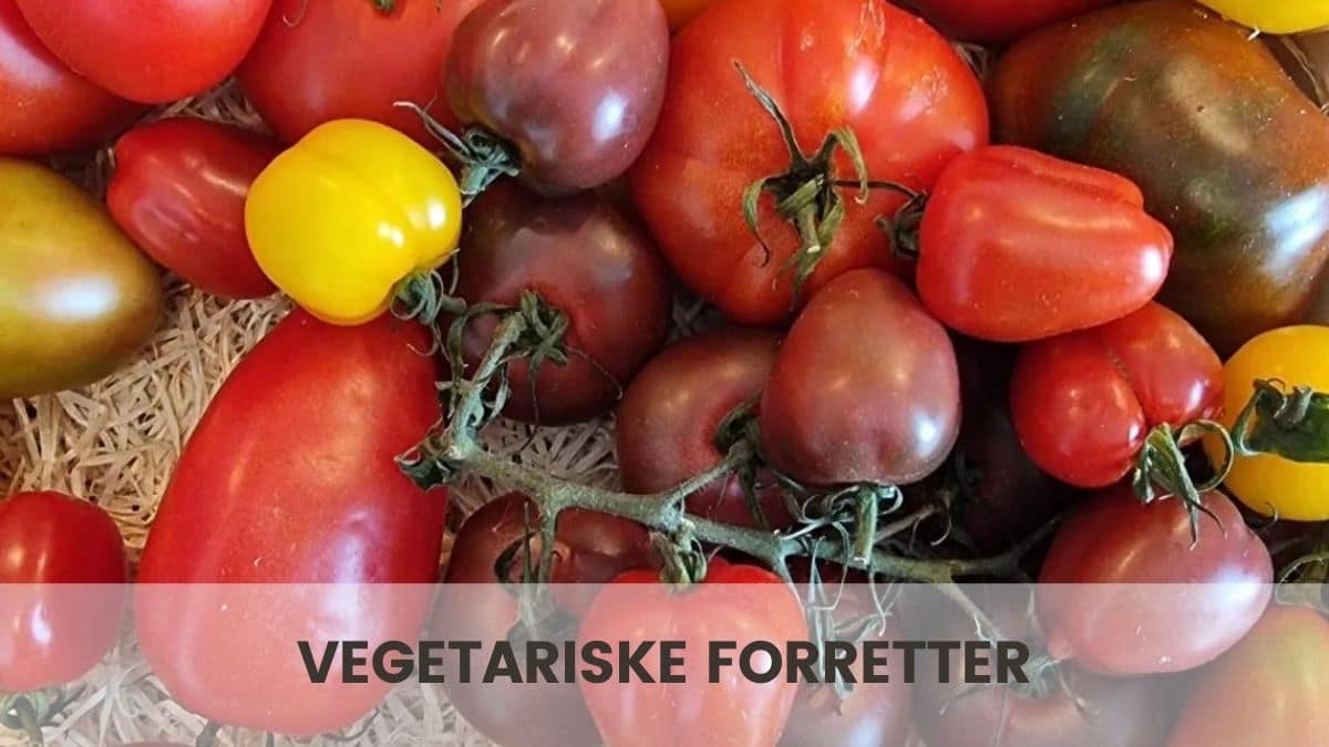 Vegetariske forretter