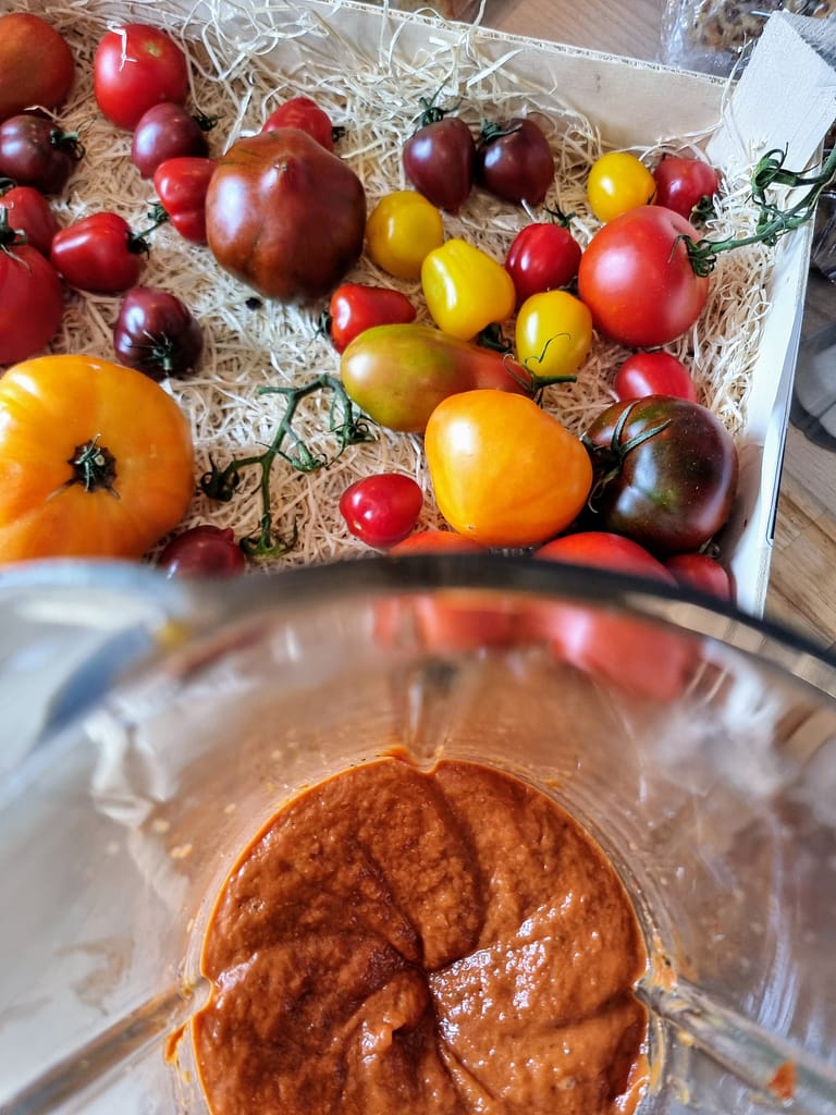 Tomater og tomatspread i blender