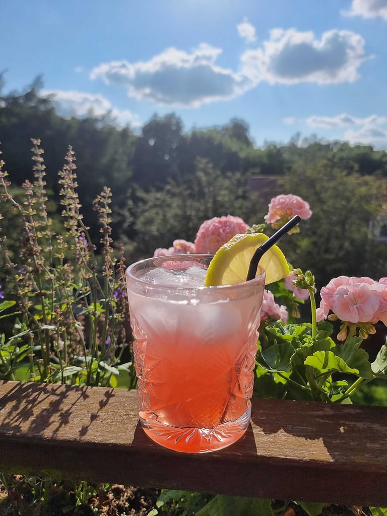 Sommerdrinken rabarber G&T