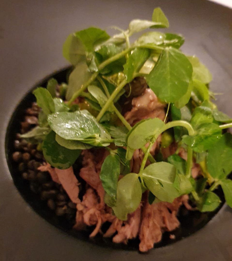 Langtidsstegt lammekølle med teriyaki sauce