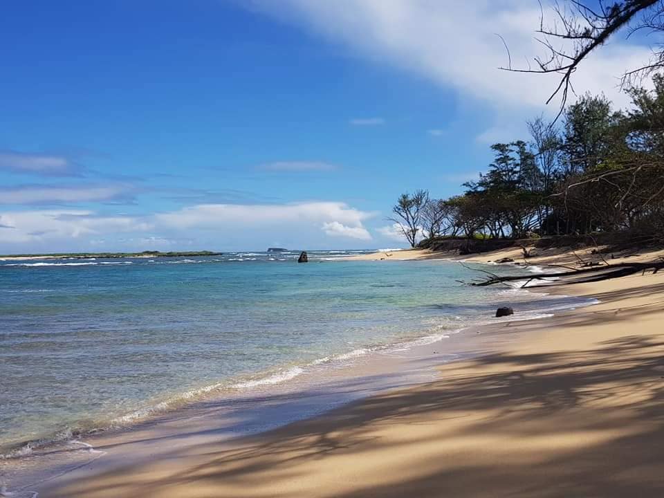 Strand på Hawaii